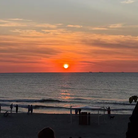 Promenada Gwiazd 28 - Visitopl *